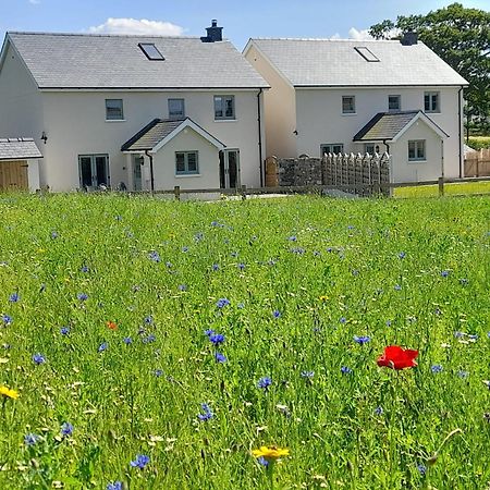 Brecon Beacons Cottage With Stunning Country Views Myddfai Eksteriør bilde