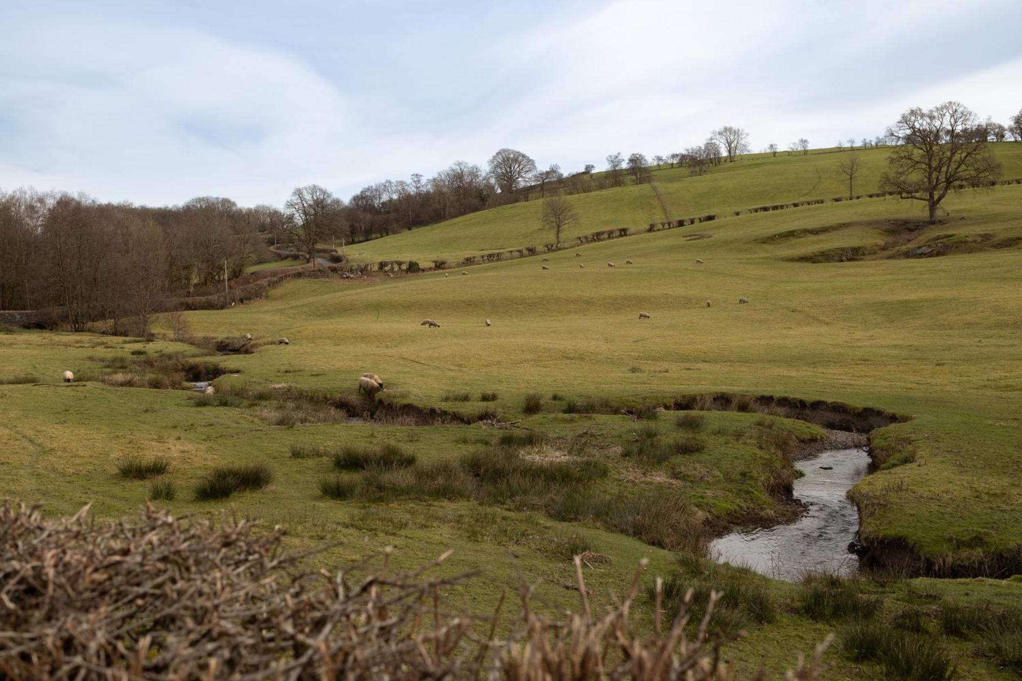 Brecon Beacons Cottage With Stunning Country Views Myddfai Eksteriør bilde