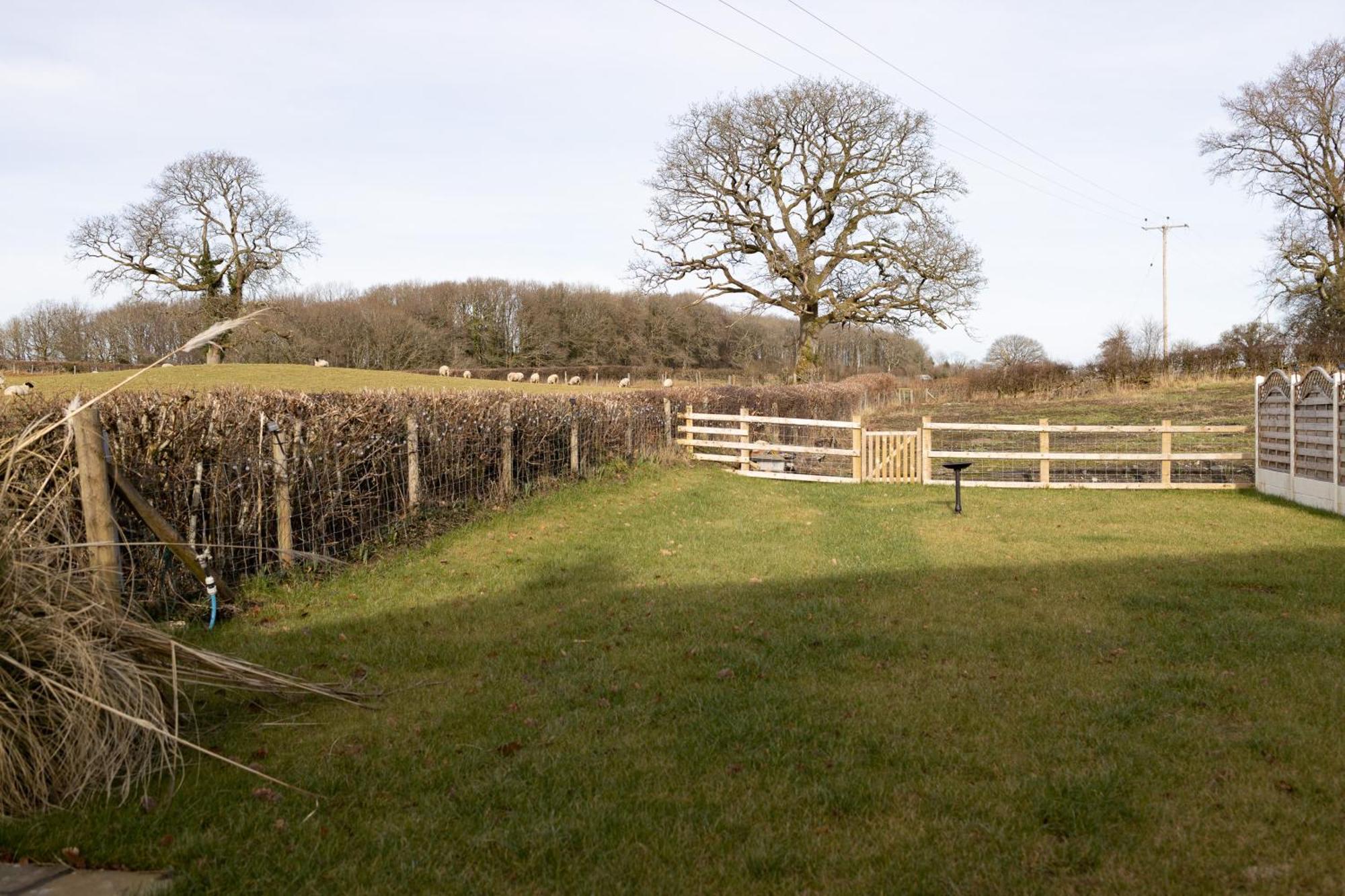 Brecon Beacons Cottage With Stunning Country Views Myddfai Eksteriør bilde